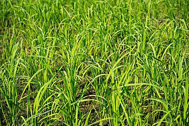 第六届吉比特未来游戏制作人大赛启动！8万元冠军奖，面向全球高校开发者！